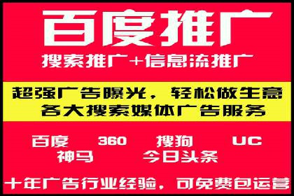 某电商平台的SEM优化托管实践与效果评估